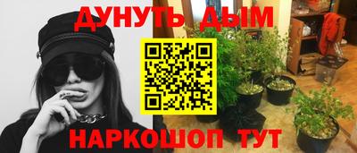 гидропоника Коммунар
